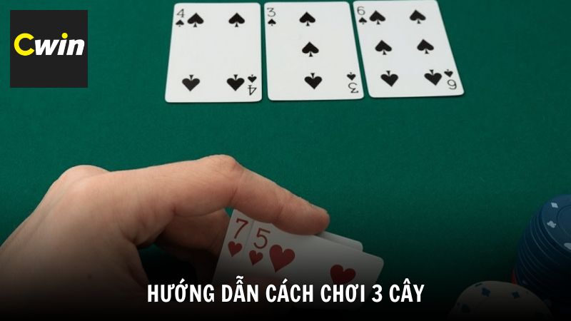 Hướng dẫn cách chơi 3 cây chi tiết cho người mới