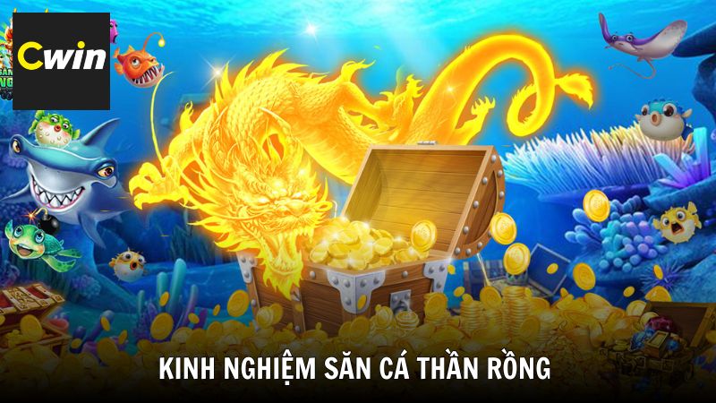 Kinh nghiệm săn cá Thần Rồng giành kho báu