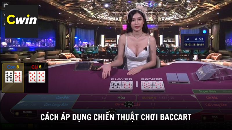 Các chiến thuật chơi bài Baccarat được cao thủ tin dùng