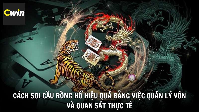 Cách soi cầu Rồng Hổ hiệu quả bằng việc quản lý vốn và quan sát thực tế