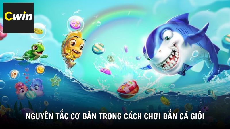 Nguyên tắc cơ bản trong cách chơi bắn cá giỏi