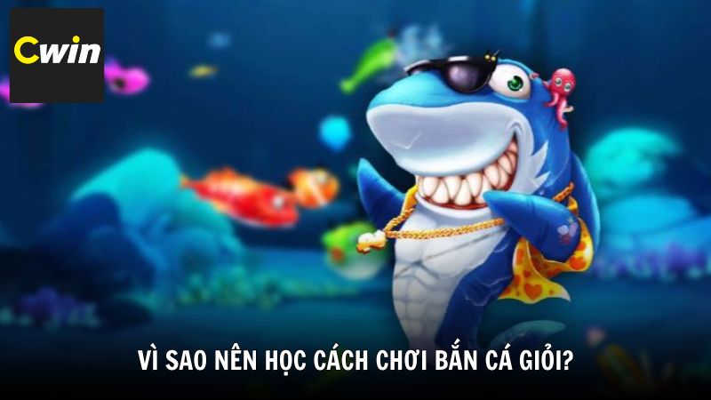 Vì sao nên học cách chơi bắn cá giỏi?