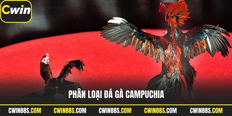 Phân loại đá gà Campuchia